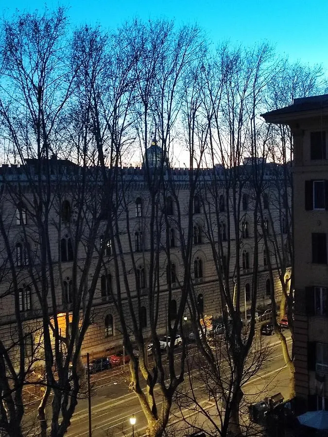 Domus Roma Centro Appartamento 0*,